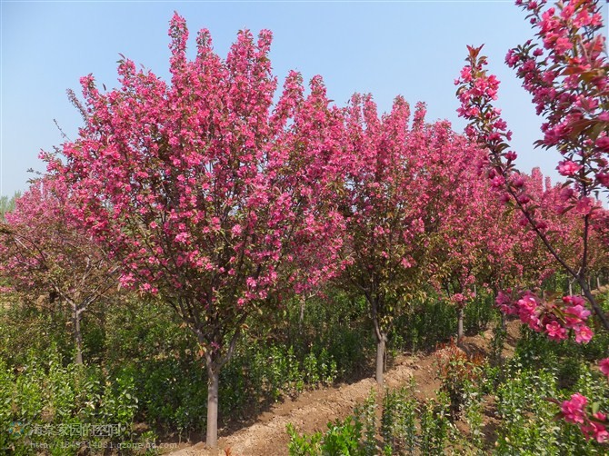 1619965823417445.jpg 14e90b6a1ab1e635.jpg