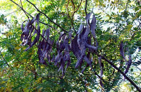 1619966193759280.jpg c24d7a0f73175747.jpg