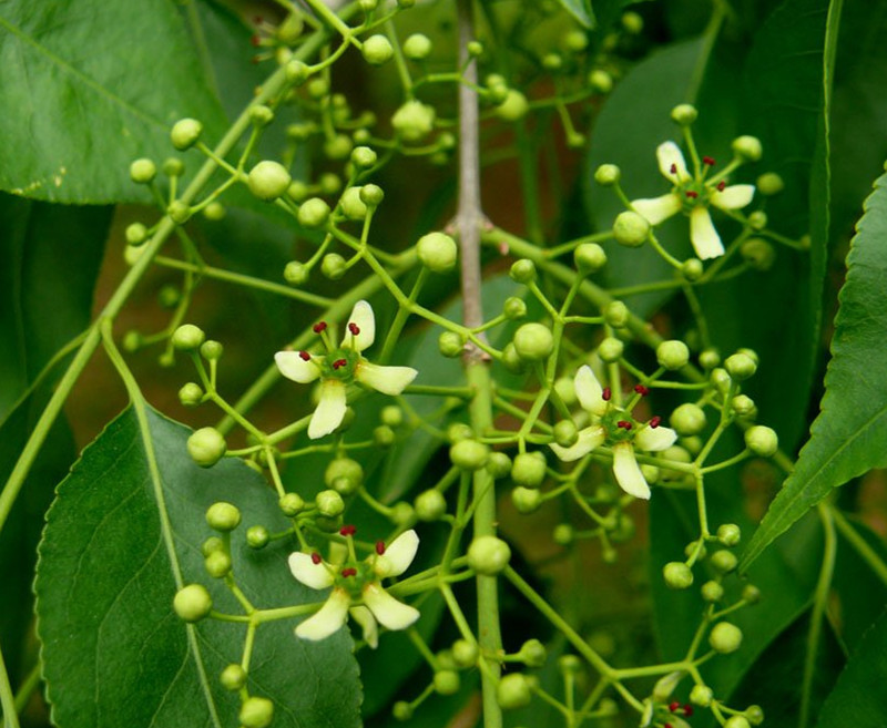 1634352044715755.jpg 10-121215111I5_副本.jpg