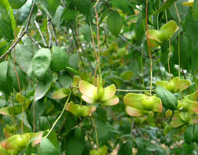 1634352056879532.jpg 10-121215111K8.jpg