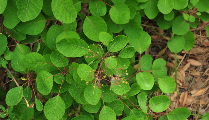 1634372933315695.jpg 1634372933315695.jpg