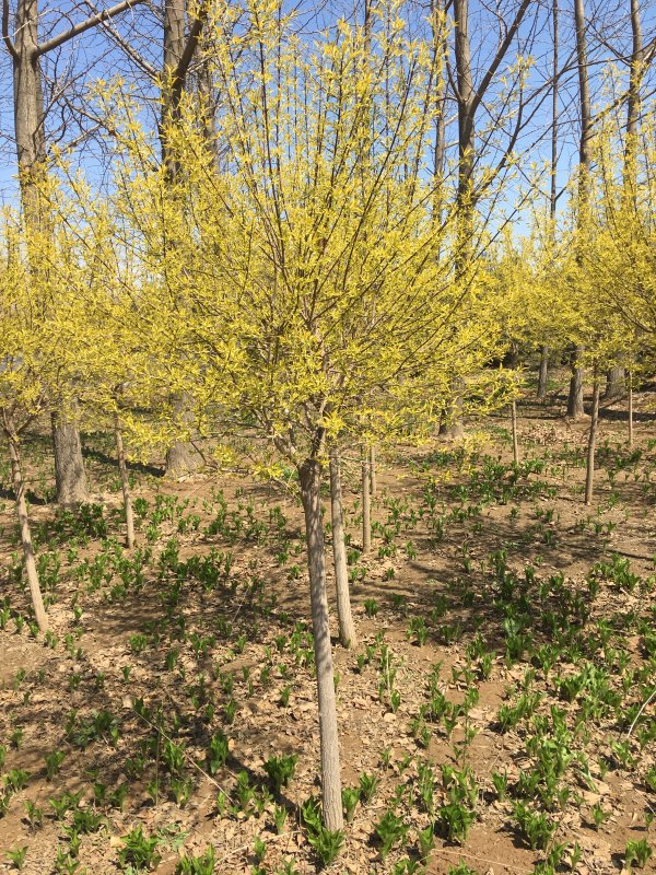 1646956809168524.jpg 1646956809168524.jpg