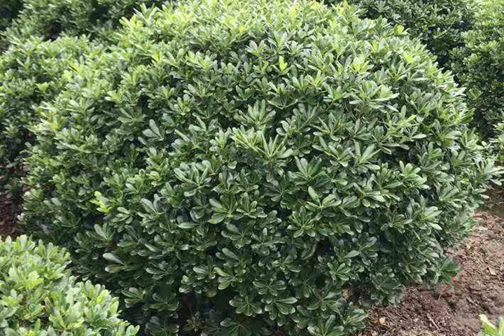 1649403610842443.jpeg 5b6b72980130ab2c70b630677aeea154.jpeg