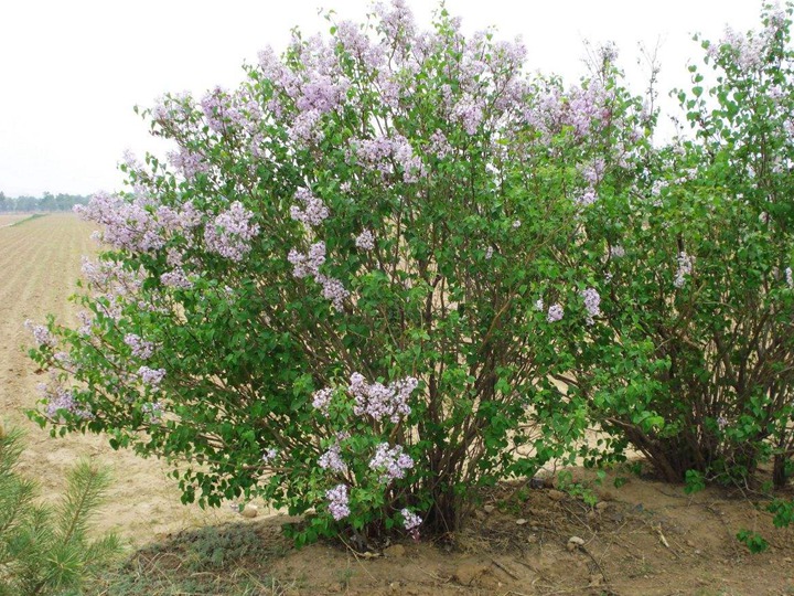 1671585655422975.jpeg 2064672f9a0231e8f48c68f4de38132f.jpeg