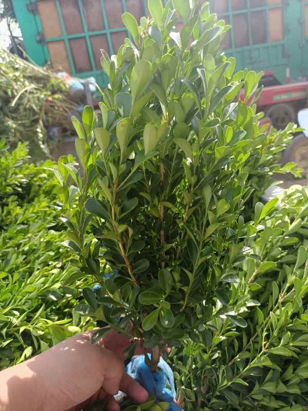 1734421943754489.jpg IMG_20220924_135904.jpg