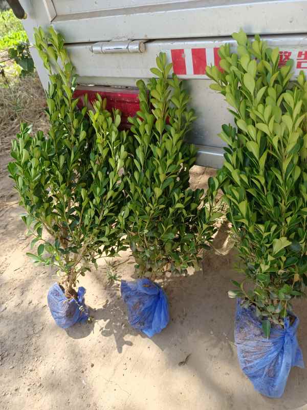 1734422071868401.jpg IMG_20220924_121604.jpg