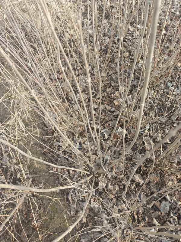 1734678955978994.jpg IMG_20230221_092704.jpg